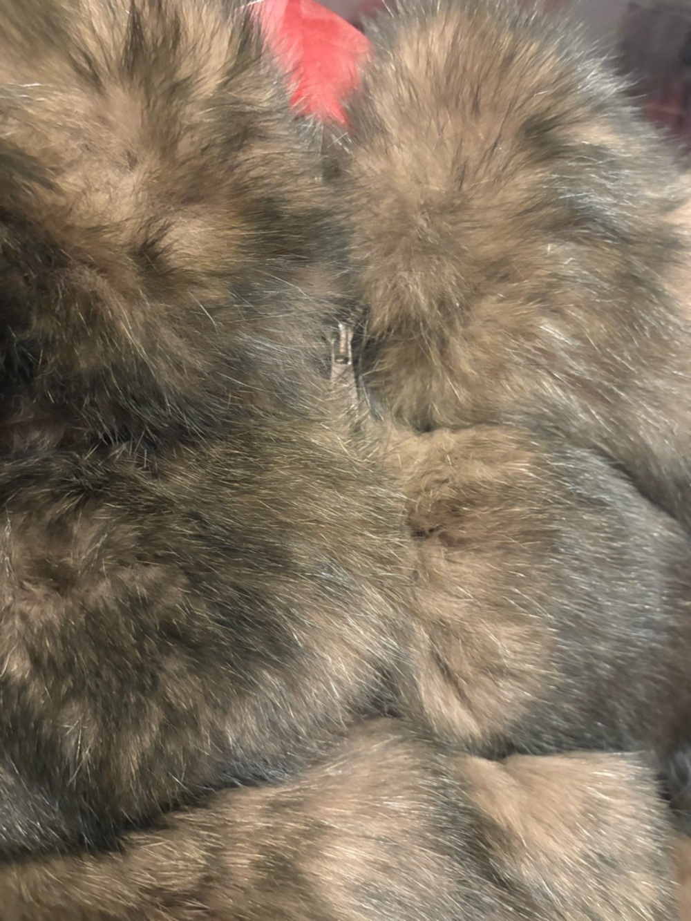Real Fox Fur Jacket - Cropped - Picture 4 of 8
